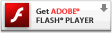 ȡflash